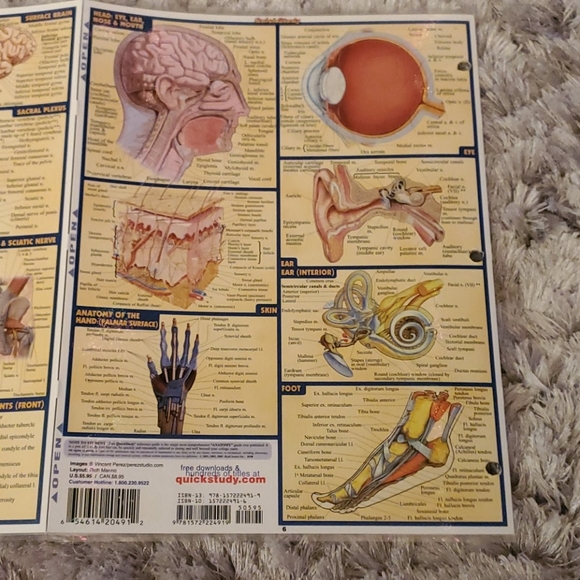 Anatomy quick study guide - Picture 6 of 6